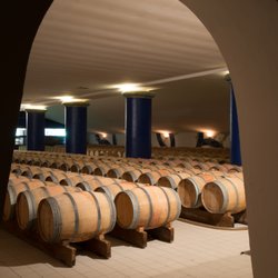 Château Prieuré-Lichine - The cellar ©Matteo Conti - Les Editions d'Autils