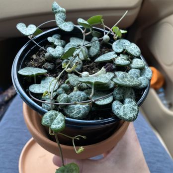 MI Home Nest - Home & Garden Near Me - Portland, Oregon
