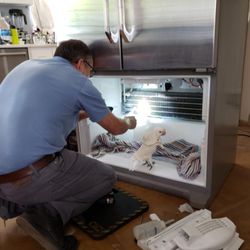 Phoenix Appliance Services - Owner left this parrot to supervise my work. He was happy with the results.