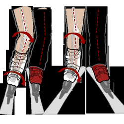 Pro Balance Orthotics