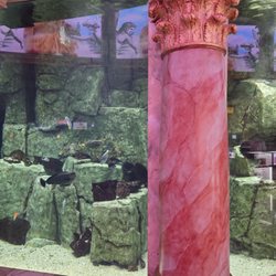 The Atlantis Aquarium - The Atlantis Aquarium