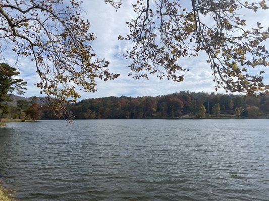 High Five Coffee by null