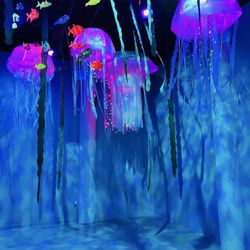 Wonder Chamber