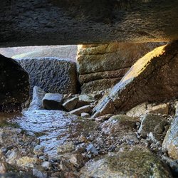 Folly Cove - rocks
