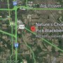 Photo of Nature’s Choice U-Pick Blackberries