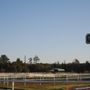 Photo of Woodlands Equestrian Club