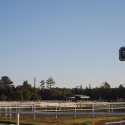 Woodlands Equestrian Club - Trails and pastures at WEC