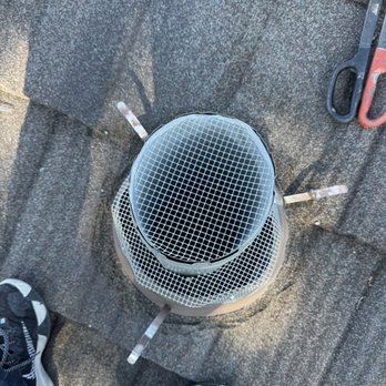 Silicon Valley Rodent Proofers - Roof - Pest Control Near Me Silicon Valley Rodent Proofers - Roof - Pest Control Near Me