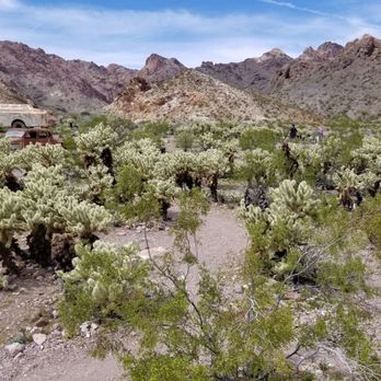 El Dorado Canyon Mine Tours - Cactus area- be mindful in this - Tours Near Me - Nelson, Nevada El Dorado Canyon Mine Tours - Cactus area- be mindful in this - Tours Near Me - Nelson, Nevada
