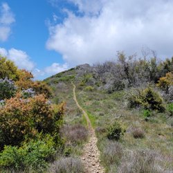 Los Pinos Peak