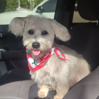 KCS Dog Spaw - Pet Groomers Near Me KCS Dog Spaw - Pet Groomers Near Me