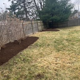 Back bushes