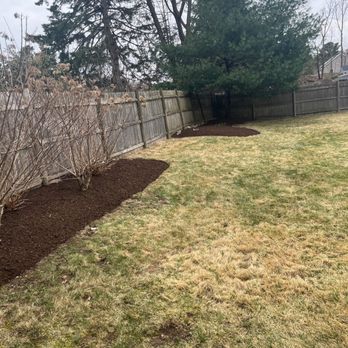 Mow and Grow Lawn Services - Back bushes - Landscaping Near Me