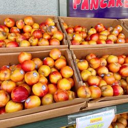 Abraham Farmers Market