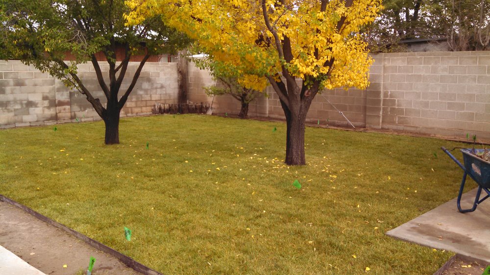 Gonzales Landscape and Grounds Maintenance - tree service in Albuquerque, NM