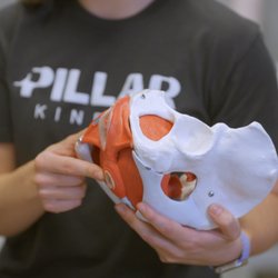 Pillar Kinetic - Using an anatomy model to explain pelvic health and function at Pillar Kinetic.