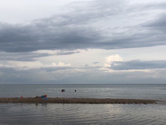 Whispers at Oak Street Beach by null