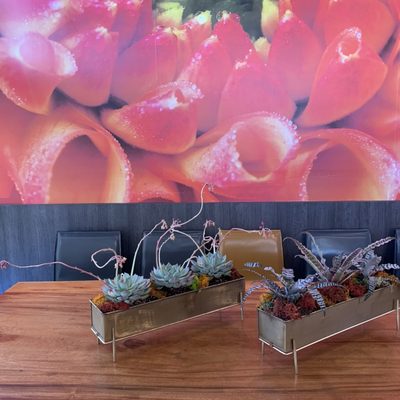 District Seven Kitchen by null