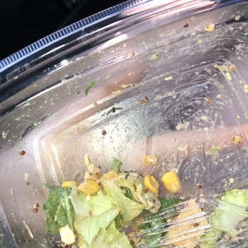 Panera Bread - After almost finishing my entire salad I spotted a little creature with wings - Salad Near Me - Valley Stream, New York Panera Bread - After almost finishing my entire salad I spotted a little creature with wings - Salad Near Me - Valley Stream, New York