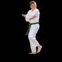Photo of SEISHINKAN Karate on Main