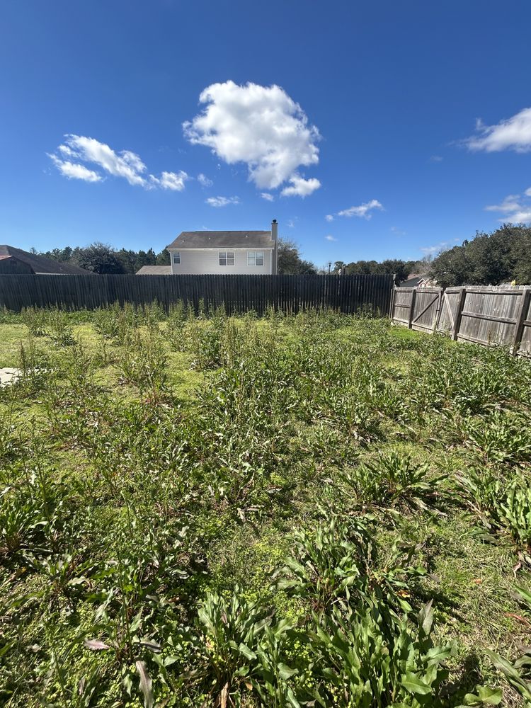 Almond’s Land Service - tree service in Ocean Springs, MS