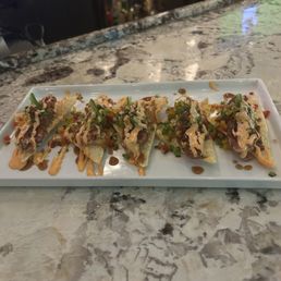 Tuna Wontons Tuna Wontons