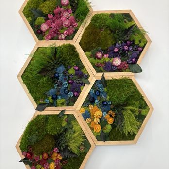 The Hive - The Hive - Cafes Near Me - Manhattan Beach, California
