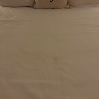 Park Plaza Hotel - Stain on top of bedding. Yellowed, supposed to be white, decorative pillow. - Hotels Near Me - Winter Park, Florida