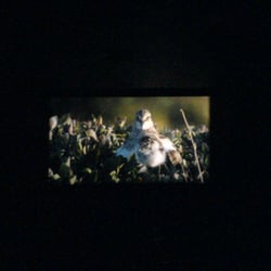 Cinema+Studio Lippstadt