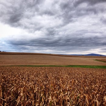 Jumbo's Pumpkin Patch - Uhm, beautiful!! - Pumpkin Patches Near Me - Middletown, Maryland