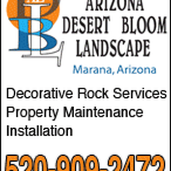Arizona Desert Bloom Landscape - arizona desert bloom landscape - Landscaping Near Me - Marana, Arizona Arizona Desert Bloom Landscape - arizona desert bloom landscape - Landscaping Near Me - Marana, Arizona
