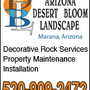Photo of Arizona Desert Bloom Landscape