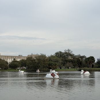 City Park - Parks Near Me - New Orleans, Louisiana City Park - Parks Near Me - New Orleans, Louisiana
