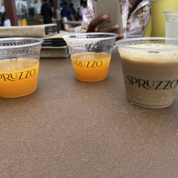 Spruzzo - Drinks by the pool - Bars Near Me - West Palm Beach, Florida Spruzzo - Drinks by the pool - Bars Near Me - West Palm Beach, Florida