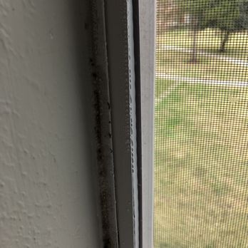 West End Lodge Apartments - The mold on a window - Apartments Near Me - Beaumont, Texas West End Lodge Apartments - The mold on a window - Apartments Near Me - Beaumont, Texas