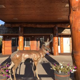 Plus two real town deer just trotted thru the parking lot. Plus two real town deer just trotted thru the parking lot.