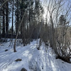Davis Creek Regional Park