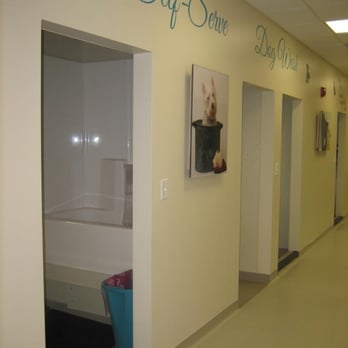 Luxe Pet Resort - Self Service Dog Grooming Stations - Pet Groomers Near Me - Boston, Massachusetts Luxe Pet Resort - Self Service Dog Grooming Stations - Pet Groomers Near Me - Boston, Massachusetts