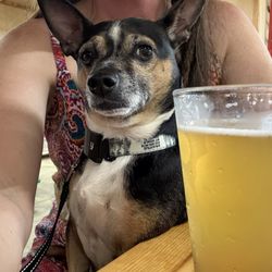The Beer Barn - Dog friendly! Great spot after a hike!