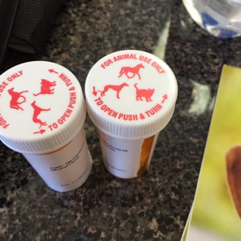 Glendale Veterinary Clinic - Veterinarians Near Me - Glendale, New York Glendale Veterinary Clinic - Veterinarians Near Me - Glendale, New York