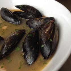 Chinched - Mussels