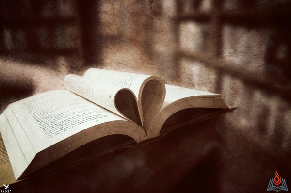 Lit. on Fire Books by null