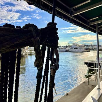 The Lobster House - View from boat bar - Seafood Markets Near Me - Cape May, New Jersey The Lobster House - View from boat bar - Seafood Markets Near Me - Cape May, New Jersey