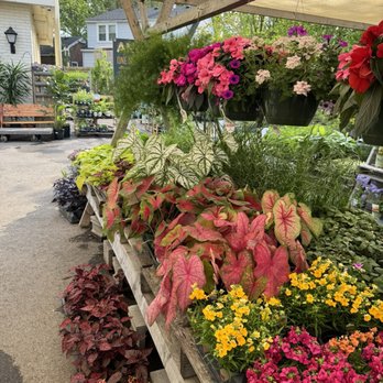 Above the Dirt - Nurseries & Gardening Near Me - Louisville, Kentucky Above the Dirt - Nurseries & Gardening Near Me - Louisville, Kentucky
