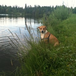 Canyonwatch - Indiana, one of the CanyonWatch mascots, enjoying a drink.