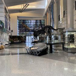 Virginia Museum of Natural History - Dinosaurs!