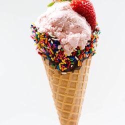 Llama Ice Cream