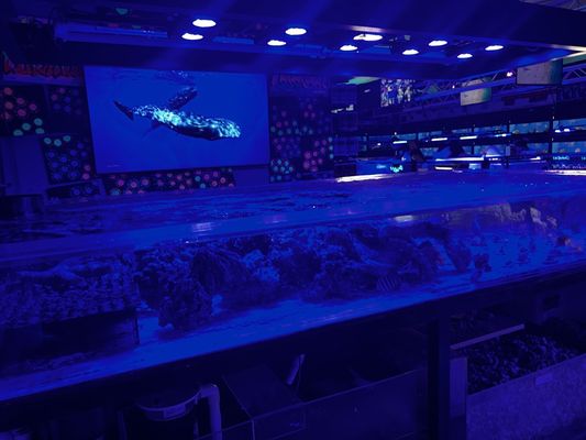 LAX Aquarium by null