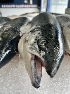 Half Moon Bay Fish Market by null