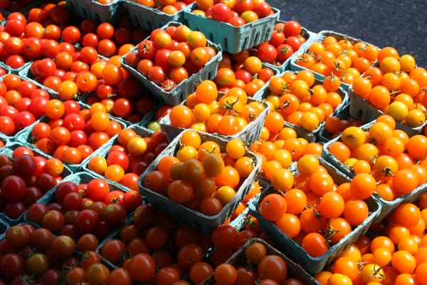 West End Farmers Market by null